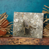 Braune Feldgitter Fotoplatte (Seite)