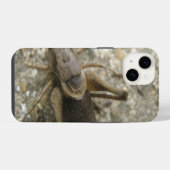 Braune Feldkrille iPhone Hülle (Rückseite (Horizontal))