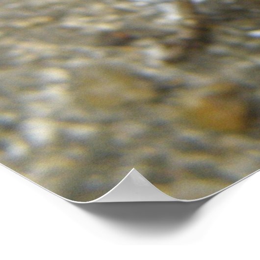 Braune Feldriegel Print Poster (Ecke)