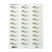 Braune Forelle Fly-Fishing Grafik Braunes Design (Vorne)