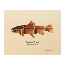 Braune Forelle; Laichmännchen; Holzdruck; 10"x8"