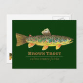 Braune Forellen-Ichthyologie Postkarte (Vorne/Hinten)