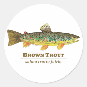 Braune Forellen-Ichthyologie Runder Aufkleber
