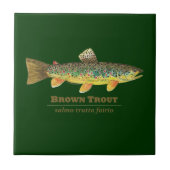 Braune Forellen-Lateinische Ichthyologie Fliese (Vorderseite)