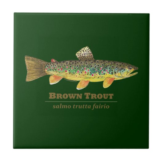 Braune Forellen-Lateinische Ichthyologie Fliese (Vorderseite)