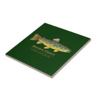 Braune Forellen-Lateinische Ichthyologie