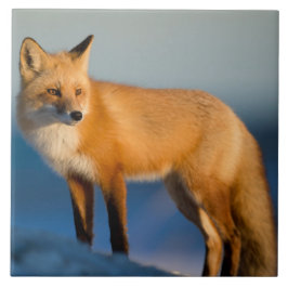 Braune Fox-Keramik Fliese