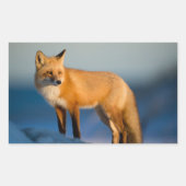 Braune Fox Rechteckkleber Rechteckiger Aufkleber (Vorderseite)