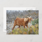 Braune gepunktete Ziege Postkarte (Vorne/Hinten)