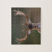 Braune Hirsche beurteilt dich. Puzzle (Vertikal)