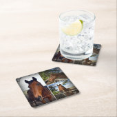 Braune Hornhautfotografie, solide Untersetzer (Vor Ort)