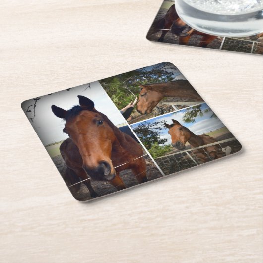 Braune Hornhautfotografie, solide Untersetzer (angewinkelt)