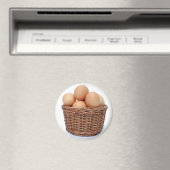 Braune Hühnereier Magnet (In Situ (Geschirrspüler))