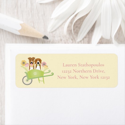 Braune Hunde in Schubkarren Frühlingsblumen (Insitu)