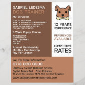 Braune Hunde, Werbung für Hunde Flyer (Vorne)