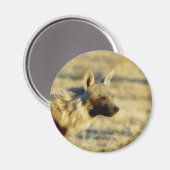 Braune Hyena-Magnete Magnet (Vorderseite/Rückseite)