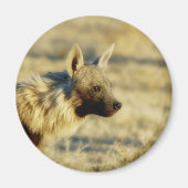 Braune Hyena-Magnete Magnet (Vorne)