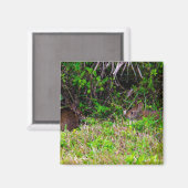 Braune Kaninchen im Gras Florida Magnet (Vorderseite/Rückseite)