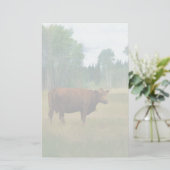 Braune Kuh auf einer Rasse Briefpapier (Stehend Vorderseite)
