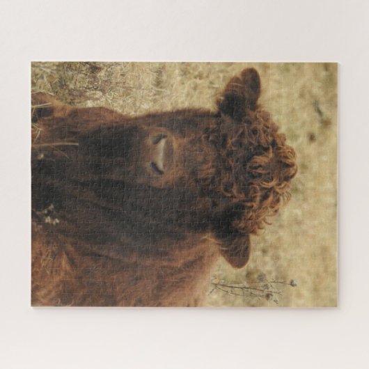 Braune Kuh entspannt sich auf der Landwirtschaft Puzzle (Horizontal)