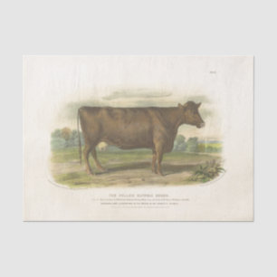 Braune Kuh Ephemera Decoupage Vintage Farm Seidenpapier