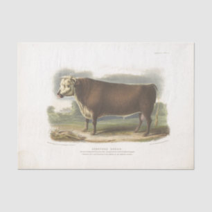 Braune Kuh-Ephemera-Decoupage-Vintage-Landwirtscha Seidenpapier