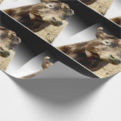 Braune Kuh Munching auf Hay, Geschenkpapier (Ecke)