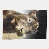 Braune Kuh Munching Hay Face, Geschirrtuch (Horizontal)
