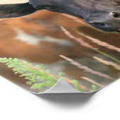 Braune Kuh Sticken Zunge Funny Humorvoll Niedlich Poster (Ecke)