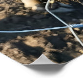 Braune Kuh Super Nah-Up Poster (Ecke)