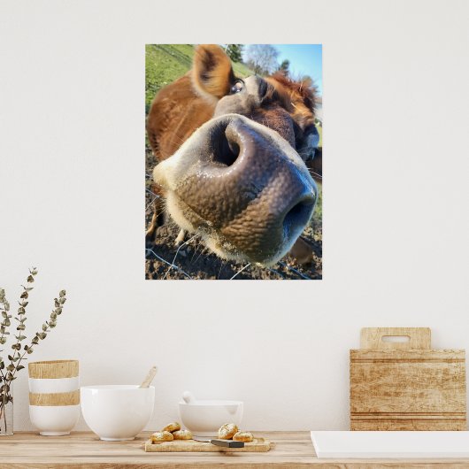 Braune Kuh Super Nah-Up Poster (Küche)