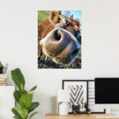 Braune Kuh Super Nah-Up Poster (Heimbüro)
