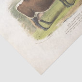 Braune Kuh Weideland Ephemera Decoupage Vintage Fa Seidenpapier (Ausschnitt)