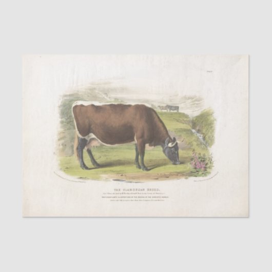 Braune Kuh Weideland Ephemera Decoupage Vintage Fa Seidenpapier (Vorderseite)