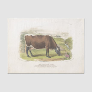 Braune Kuh Weidet Ephemera Decoupage Vintage Farm Seidenpapier
