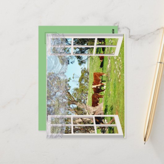 braune Kühe in meinem Fenster, Postkarte (Vorderseite/Rückseite Beispiel)