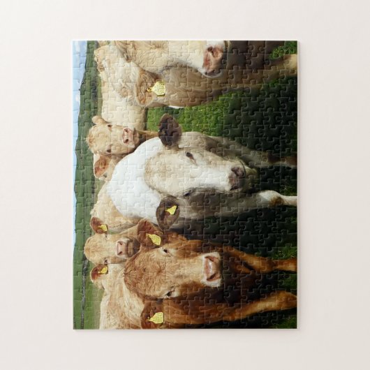 Braune Kühe Puzzle (Vertikal)