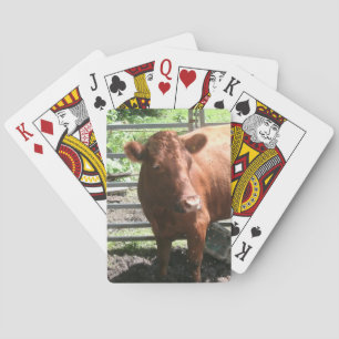 Braune Landkuh Spielkarten