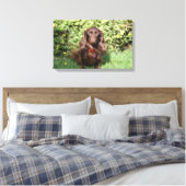 Braune Langhaarige Miniatur-Dackel Leinwanddruck (Insitu (Schlafzimmer))