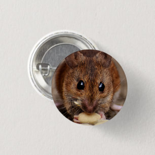 Braune Maus Eating Erdnuss Nah-up Button