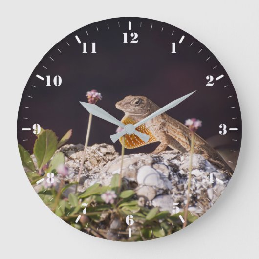 Braune Nase mit Trübung Große Wanduhr (Vorderseite)