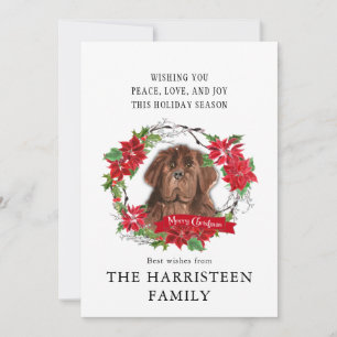 Braune Neufundländer Aquarellfarbe Poinsettia Weih Feiertagskarte