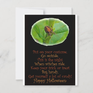 Braune Orange Araneus Halloween-Party-Einladung Einladung