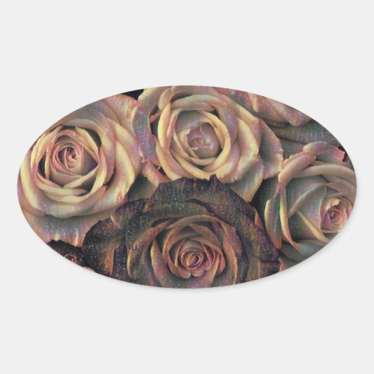 Braune, orangefarbene, goldene Rose Oval Stickers (Vorderseite)