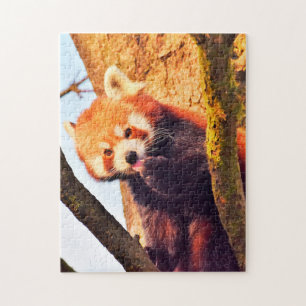 Braune Pandas. Puzzle