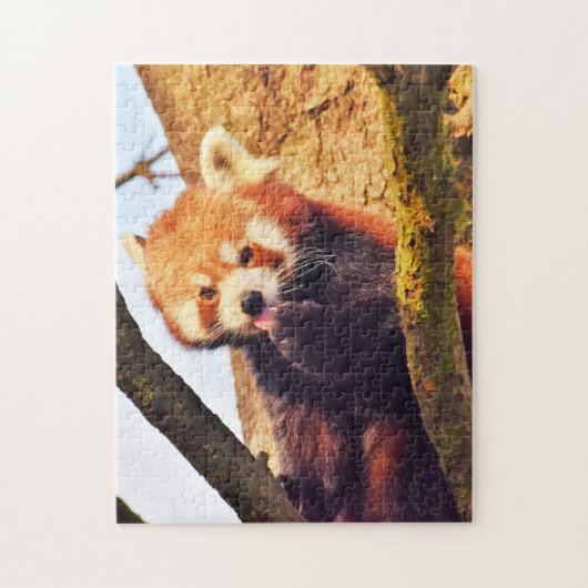 Braune Pandas. Puzzle (Vertikal)