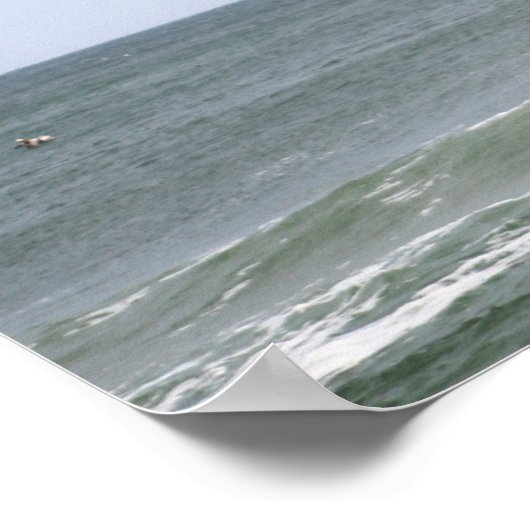 Braune Pelikane, die über den Ozean fliegen 16x20 Poster (Ecke)