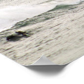 Braune Pelikane über dem Ozean Farbe 16x20 Poster (Ecke)