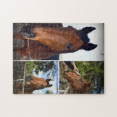 braune Pferde in einer FotoCollage, Puzzle (Horizontal)