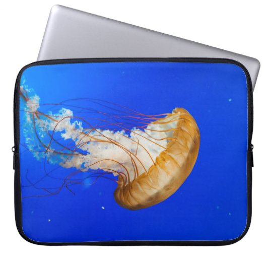Braune Qualle Laptopschutzhülle (Vorderseite)